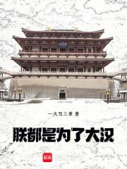 都是为了大汉!无防盗