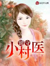 留守小村医风流事